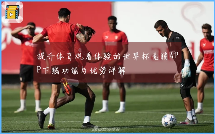 提升体育观看体验的世界杯竞猜APP下载功能与优势详解