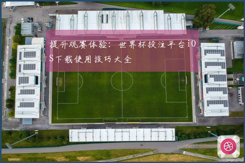 提升观赛体验：世界杯投注平台iOS下载使用技巧大全
