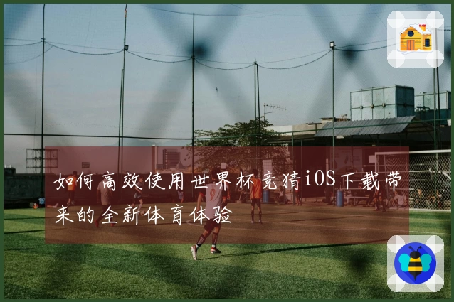 如何高效使用世界杯竞猜iOS下载带来的全新体育体验