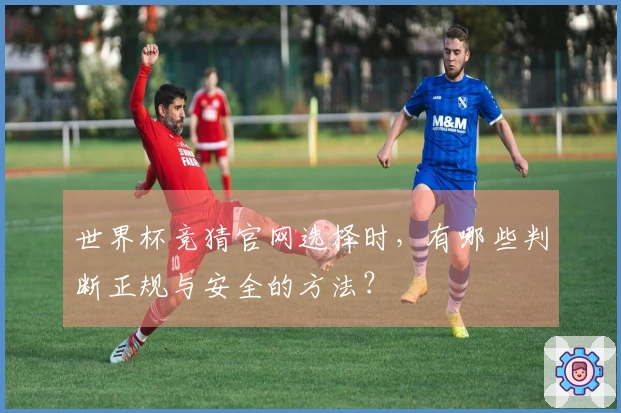 世界杯竞猜官网选择时，有哪些判断正规与安全的方法？