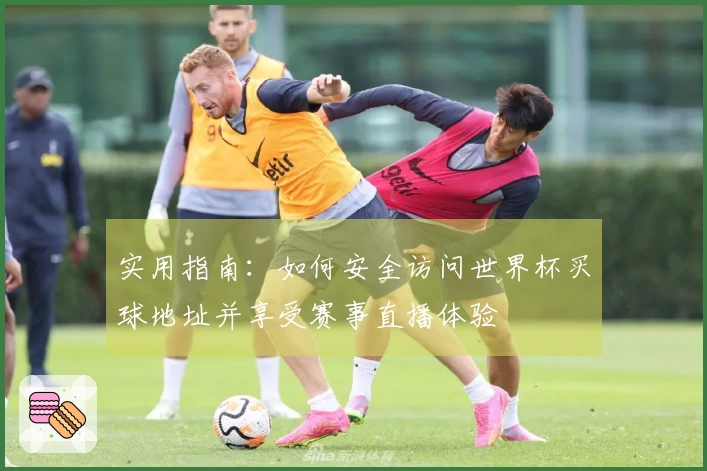 实用指南：如何安全访问世界杯买球地址并享受赛事直播体验