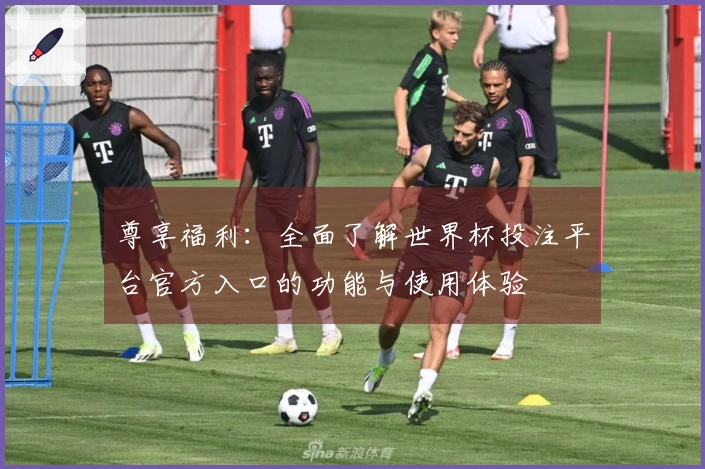 尊享福利：全面了解世界杯投注平台官方入口的功能与使用体验