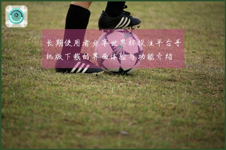 长期使用者分享世界杯投注平台手机版下载的界面体验与功能介绍