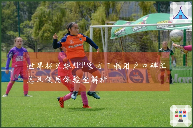 世界杯买球APP官方下载用户口碑汇总及使用体验全解析
