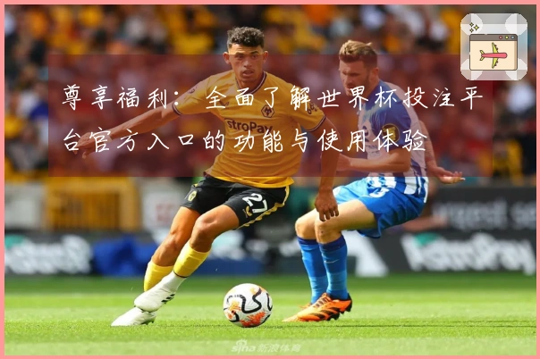 尊享福利：全面了解世界杯投注平台官方入口的功能与使用体验