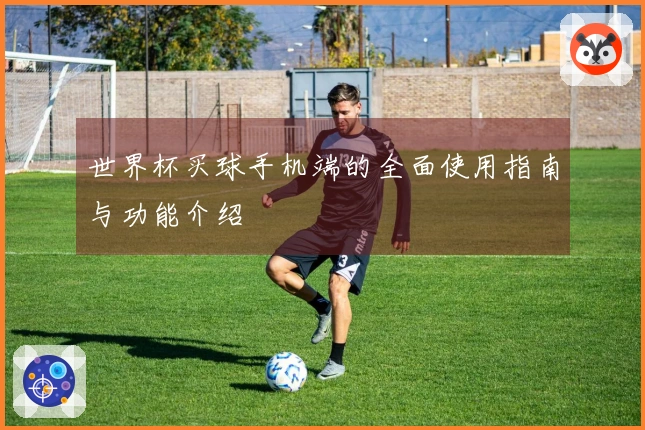 世界杯买球手机端的全面使用指南与功能介绍